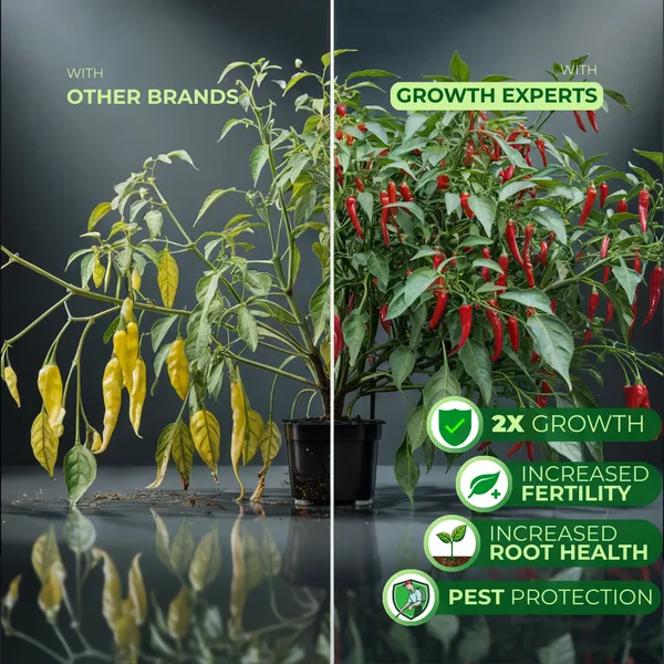 Eco_Friendly_Capsicum_And_Expert_Crops_And_Plants_Liquid