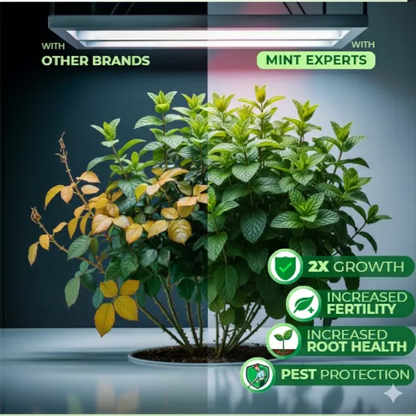 Eco_Friendly_Mint_Expert_Crops_And_Plants_Liquid