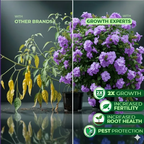 Eco_Friendly_Tulsi_Expert_Crops_And_Plants_Liquid