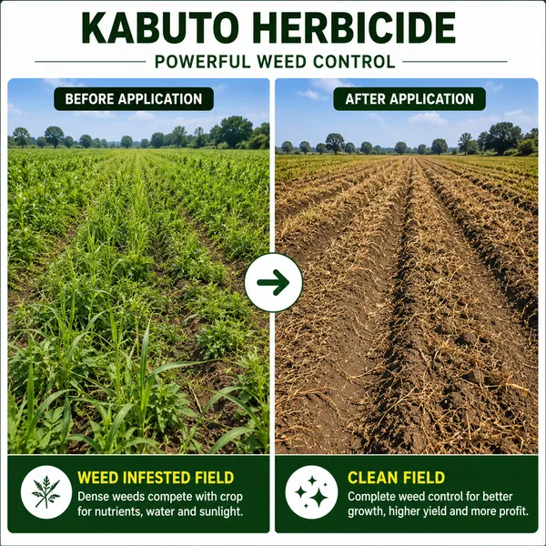 Kabuto_Herbicide-Paraquat_Dichloride_24%_Sl