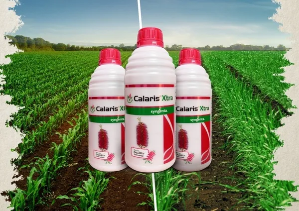 Calaris_Xtra_Herbicide-Mesotrione_2.27%_+_Atrazine_22.7%_Sc