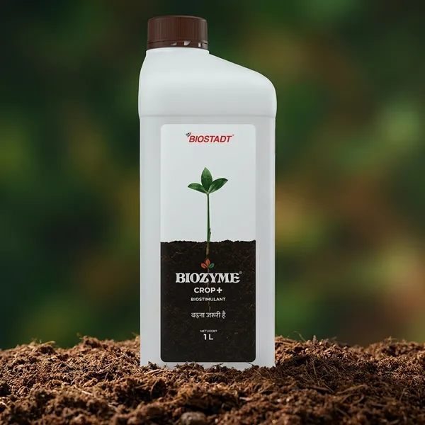 Biozyme_Crop-Seaweed_Extract_(Ascophyllum_Nodosum)_+_Protein_Hydrolysates