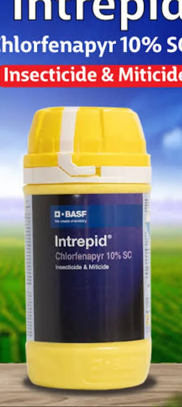 Intrepid_Insecticide-Spinetoram_11.7%_Sc
