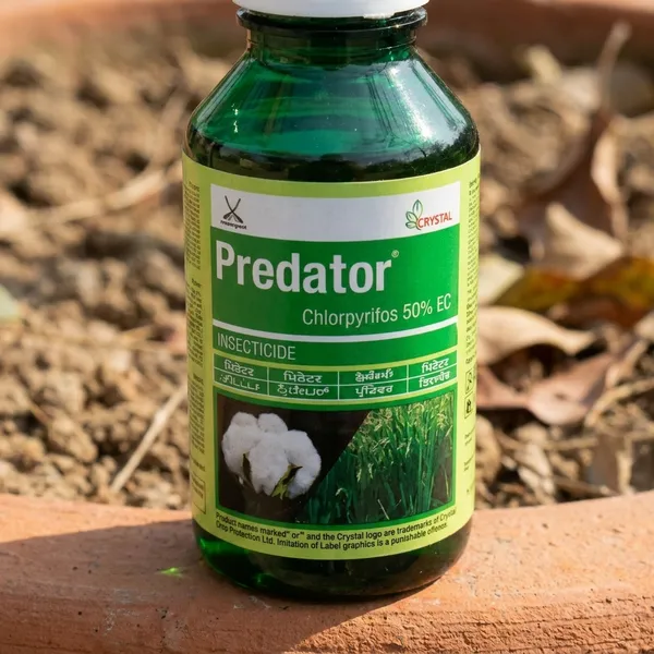 Predator_Insecticide-Thiamethoxam_25%_Wg
