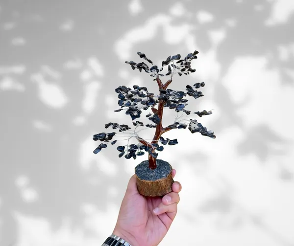 Black_Tourmaline_Tree_For_Protection_&_Grounding