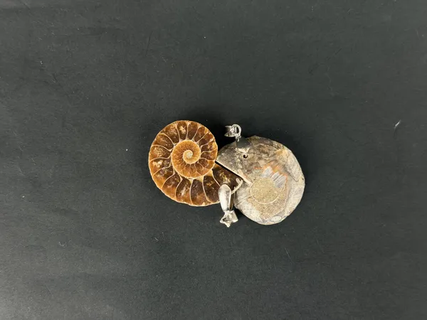 Ammonite_Pendant