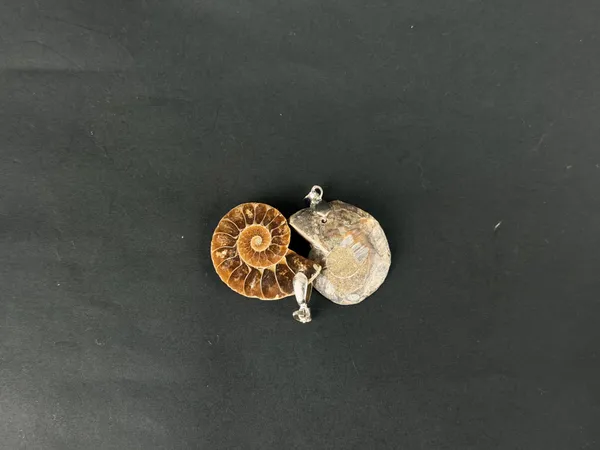 Ammonite_Pendant