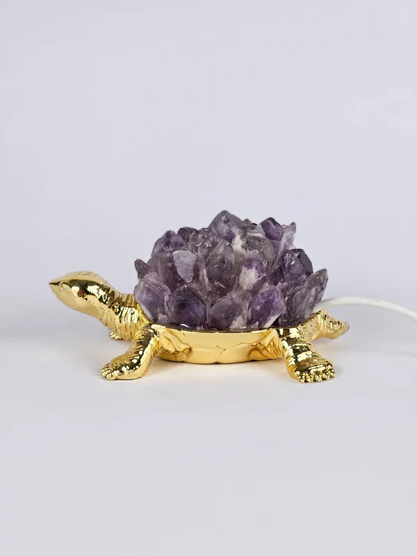 Amethyst_Electric_Tortoise_For_Focus_And_Concentration