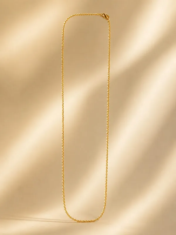 1GM_Gold_Plated_Designer_Chain