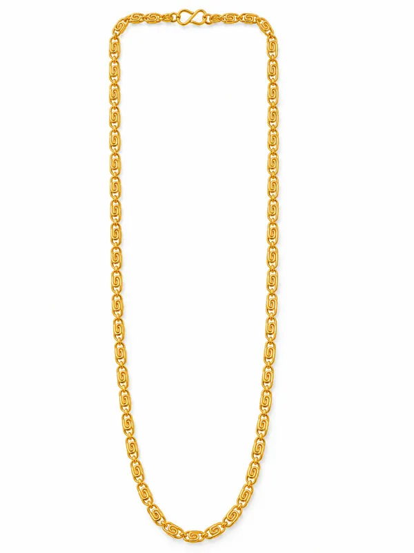 Gold_Plated_Swirl-Link_Chain_for_Men_–_20_Inch_with_S-Type_Hook