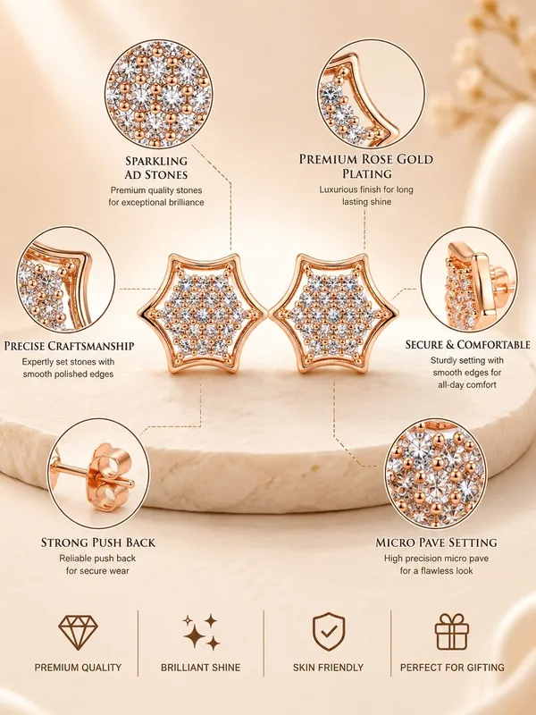 Rose_Gold_Starry_Sparkle_AD_Stone_Stud_Earrings