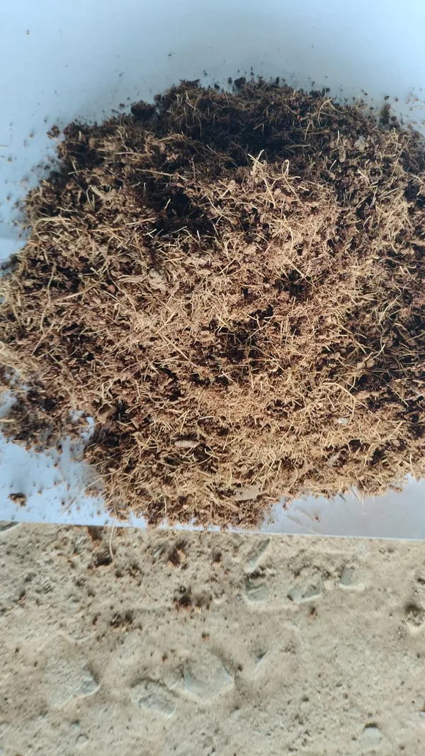Coco_Peat_-_Natural_Coconut_Coir_Growing_Medium_For_Gardening_And_Plants