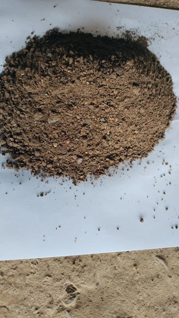 Neem_khalli_(powder)