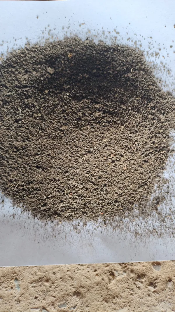 Vermi_Compost