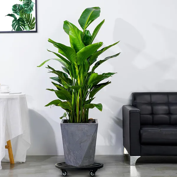 Black_Metal_Planter_Stand_For_Home_Decor