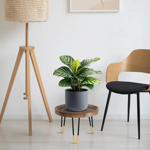 Black_Metal_Planter_Stand_For_Home_Decor