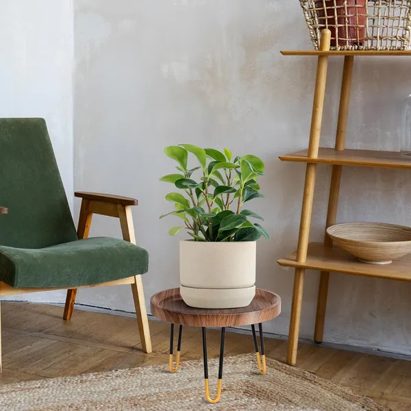Black_Metal_Planter_Stand_For_Home_Decor