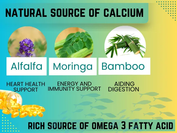 Nutrasium_Bone_&_Joint_care_Combo_|_Calcium_Magnesium_Zinc_with_Omega3_Fish_Oil_&_Vitamin_D3,_K2_&_B12_For_Strong_Bone_&_Joints_30+60_Tablets