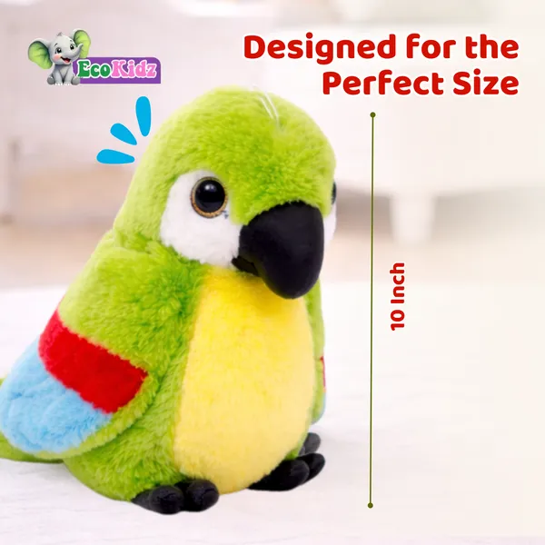 Teddy_-_10inch_Parrot