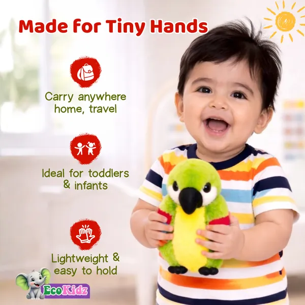 Teddy_-_10inch_Parrot