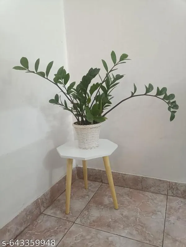 White_Wood_home_decor_For_Living_Room