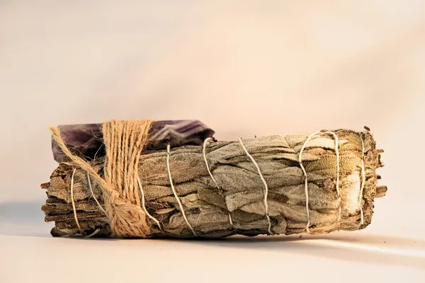 Multicolor_Nirav_Natural_White_Sage_Leaves_With_Crystal_Terminator_Sage_For_Perfect_For_Clearing_The_Mind,_Deepening_Meditation,_And_Promoting_Inner_Peace