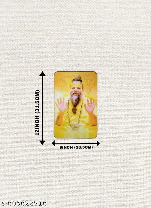 Shri_Premanand_Govind_Sharan_Ji_Maharaj_Resin_Art_12X9_Portrait