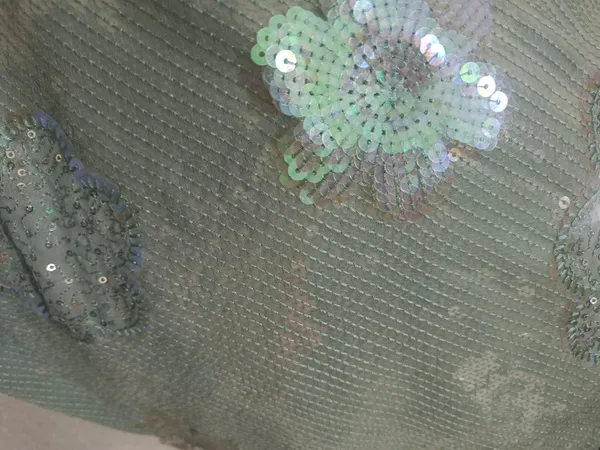 5.3__meter_Pastel_Mint_Green_Embroideries_On_A_Bed_Of_Sequin_(unstitched)