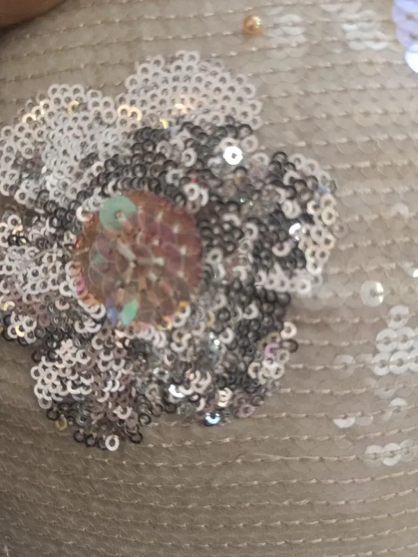 5.3_meter_Cream_Embroideries_On_A_Bed_Of_Sequin_(unstitched)
