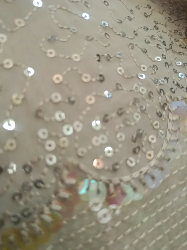 5.3_meter_Cream_Embroideries_On_A_Bed_Of_Sequin_(unstitched)