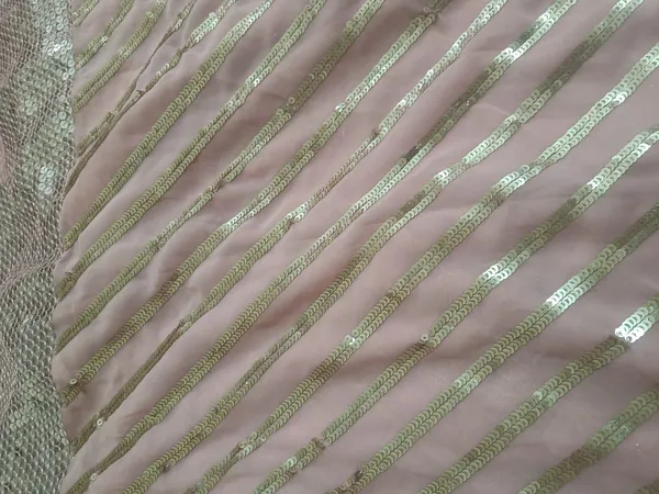 5.3_meter_Candy_Pink_Soft_Sequin_Georgette_Fabric_With_Mirror_Sequence_Border_(unstitched)