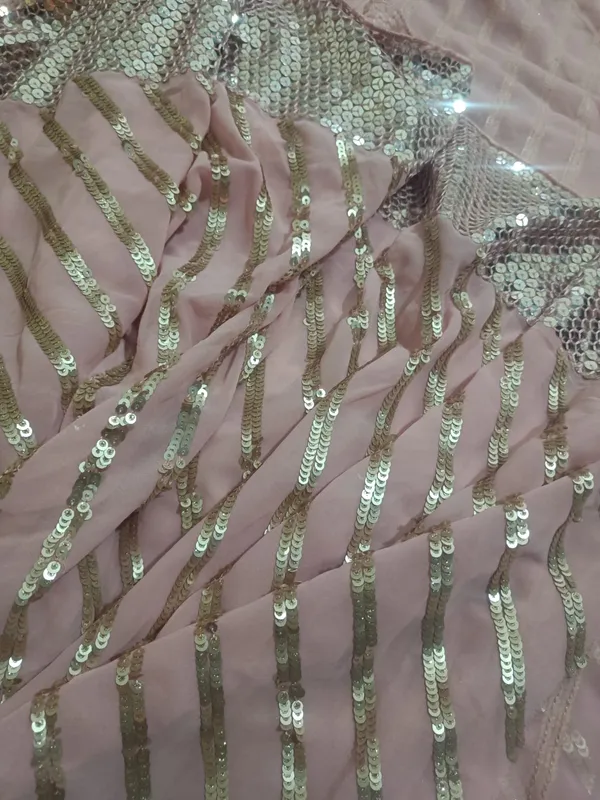 5.3_meter_Candy_Pink_Soft_Sequin_Georgette_Fabric_With_Mirror_Sequence_Border_(unstitched)