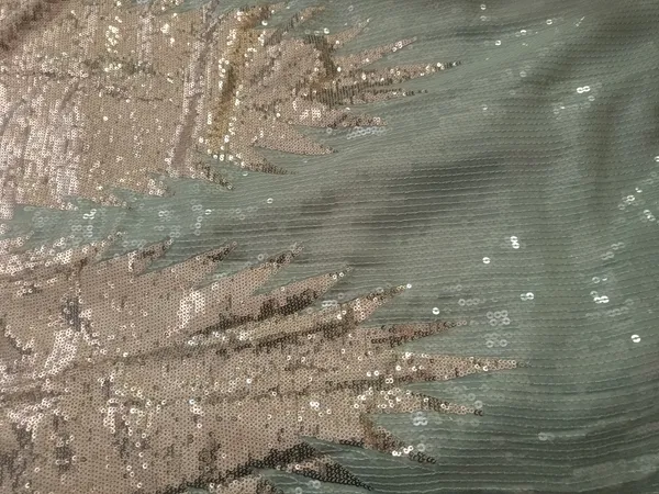 5.3__meter_Powder_blue_Ivory_Champagne_Burst_Sequin_Georgette_Fabric_(unstitched)