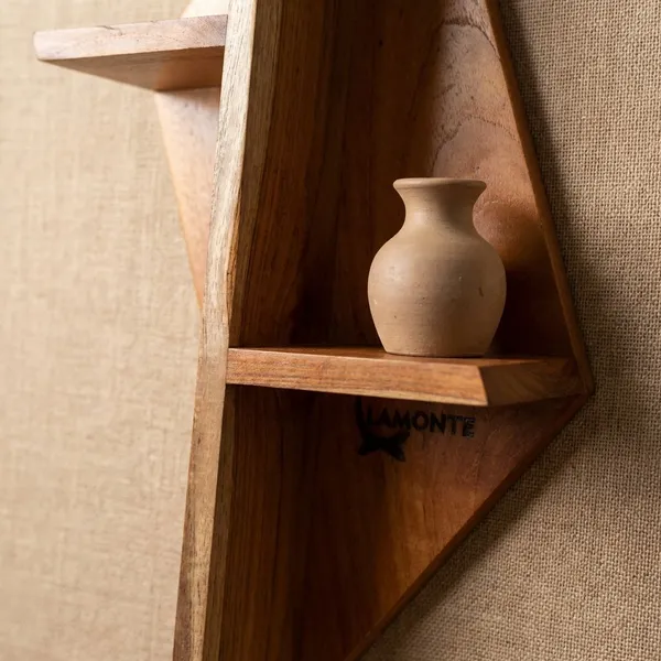 Wooden_Premium_Plant_&_book_Organizer_For_Home_Decor