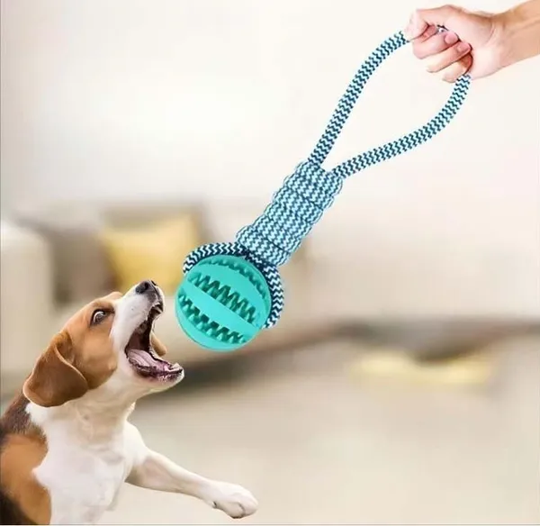 Tug_&_Chew_Toy_Rope_Non_toxic_Dog_Chew_Ball