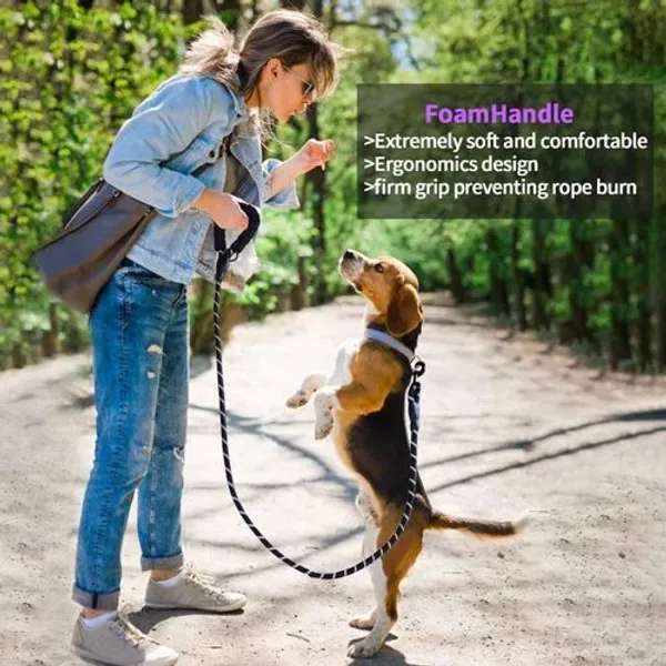 Big_Dog_Reflective_Leash_5_Feet