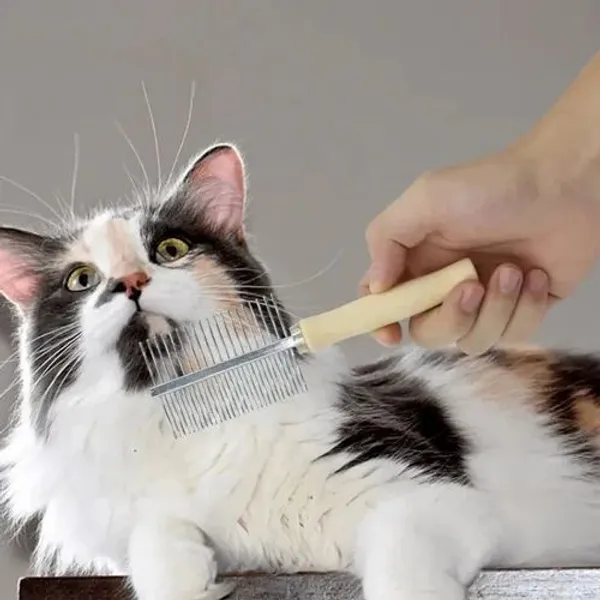 Grooming_Comb_Large_(Double_sided)
