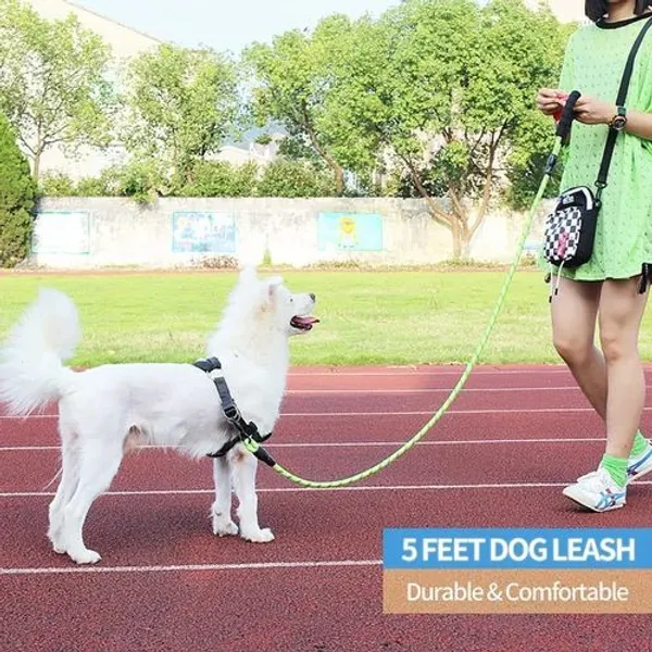 Big_Dog_Reflective_Leash_5_Feet