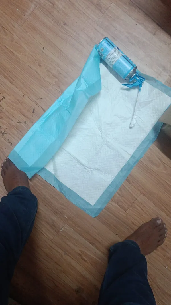 Extra_Absorb_Sky_Blue_Rectangle_Pee_Pad_