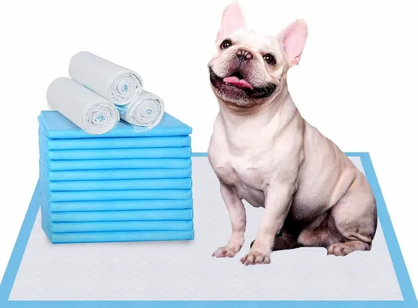 Extra_Absorb_Sky_Blue_Rectangle_Pee_Pad_