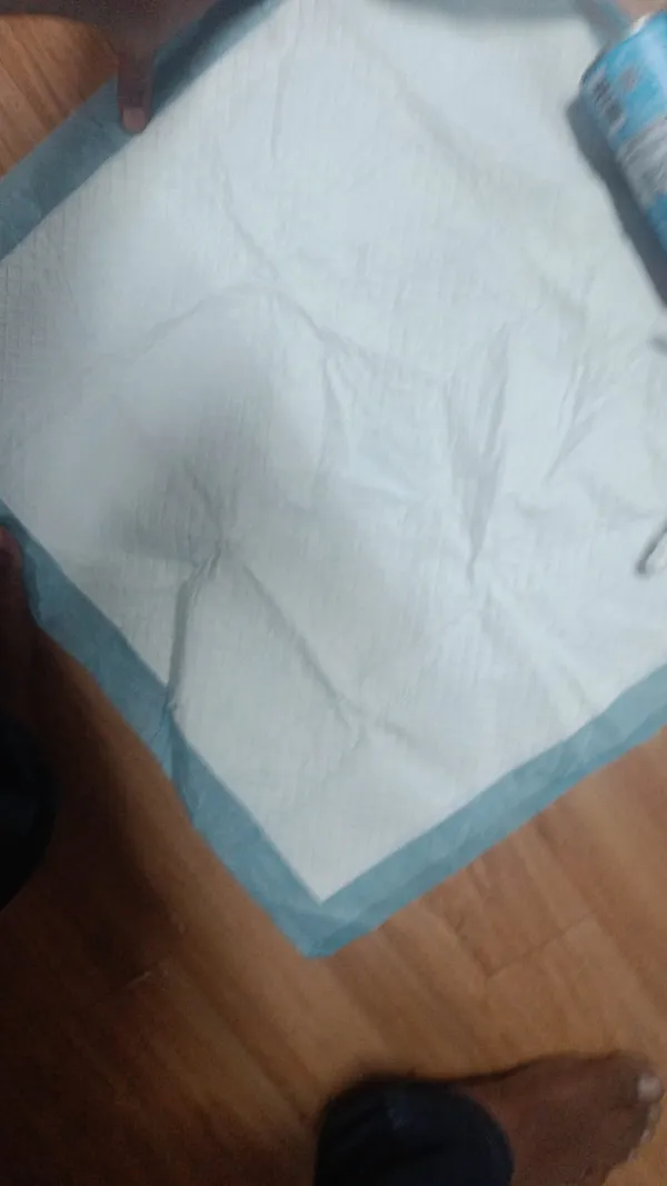 Extra_Absorb_Sky_Blue_Rectangle_Pee_Pad_