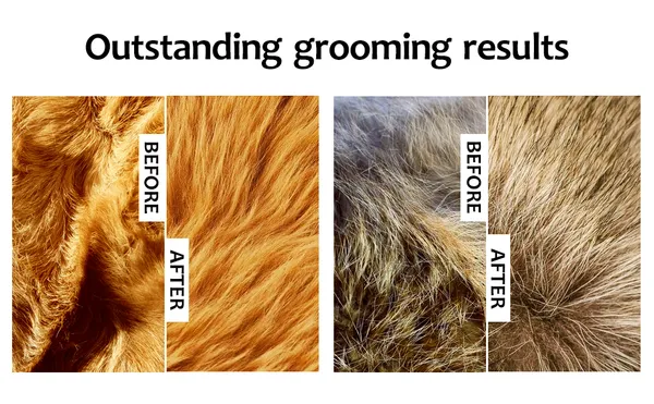 2_in_1_Pet_Grooming_Tool_Dual_Action_Combing