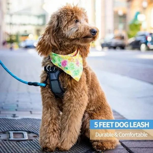 Big_Dog_Reflective_Leash_5_Feet