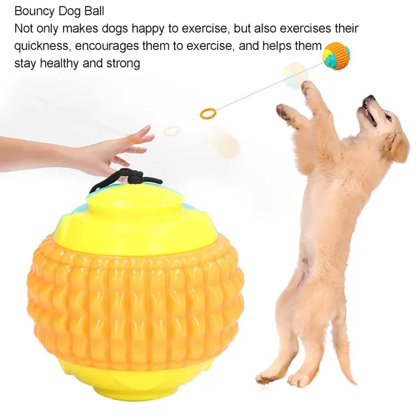 YO_YO_Interactive_Bouncing_&_Playing_Ball_for_Pet