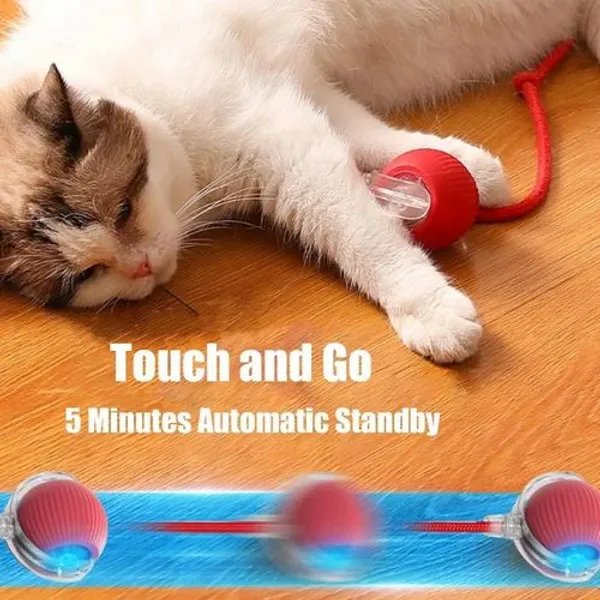 Rolling_Pet_Teaser_Ball_Auto_Play_Toy_Most_Pet_lovable_