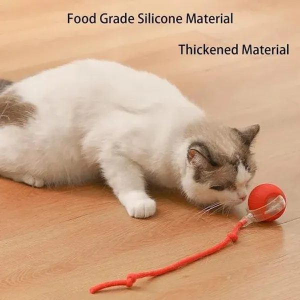 Rolling_Pet_Teaser_Ball_Auto_Play_Toy_Most_Pet_lovable_