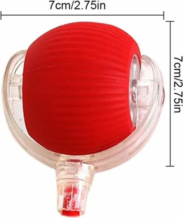 Rolling_Pet_Teaser_Ball_Auto_Play_Toy_Most_Pet_lovable_