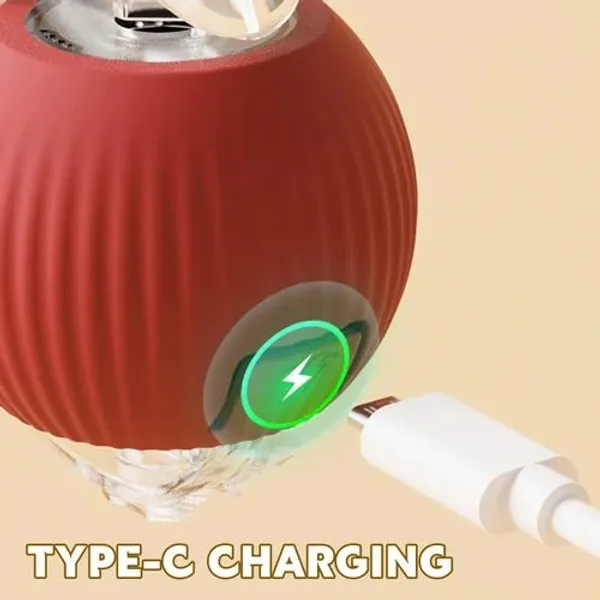 Rolling_Pet_Teaser_Ball_Auto_Play_Toy_Most_Pet_lovable_