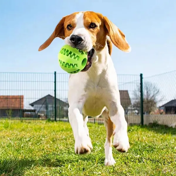 Durable_Non-Toxic_Chew_Ball_–_Safe_for_Aggressive_Chewers,_Bite-Proof_Dog_Chew_Ball