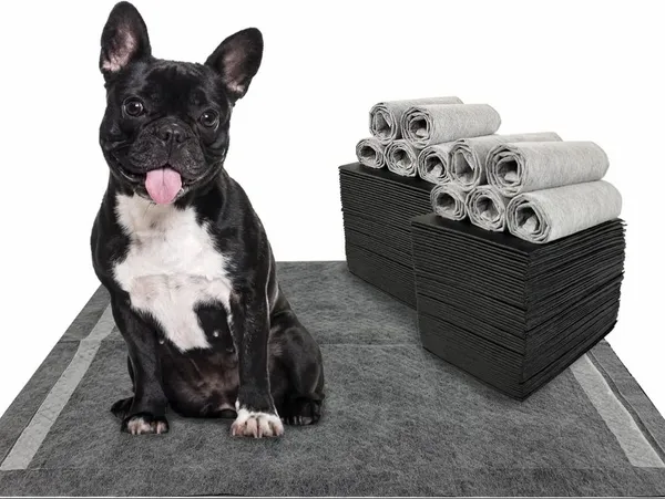 Extra_Absorb_Charcoal_Rectangle_Pee_Pad